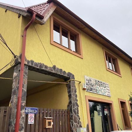 Casa Anna Villa Târgu-Mureş Dış mekan fotoğraf